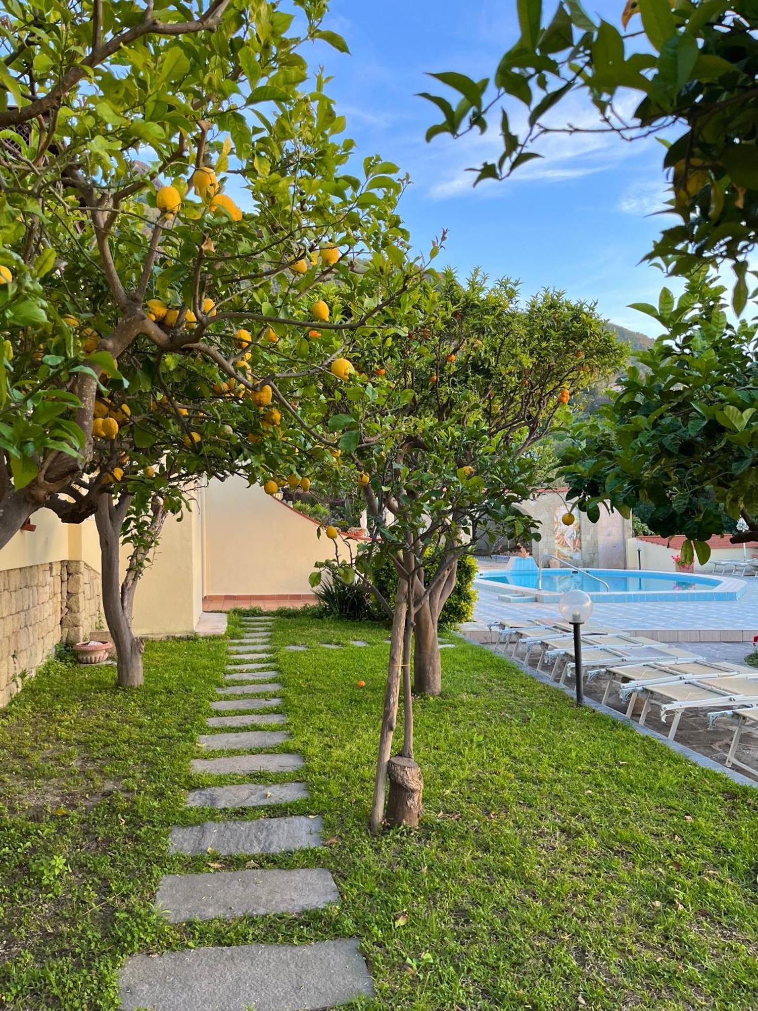 Resort Villa Flavio Casamicciola Terme Екстериор снимка