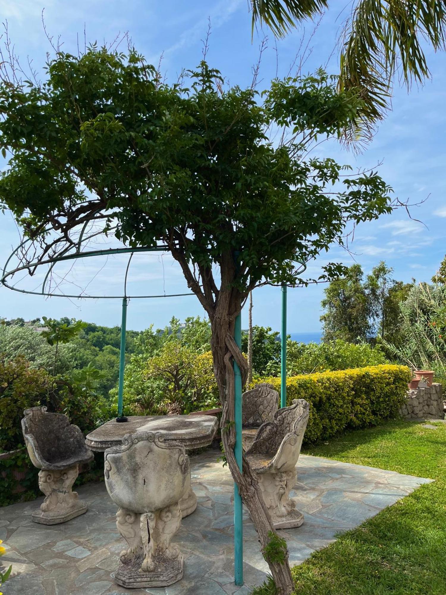 Resort Villa Flavio Casamicciola Terme Екстериор снимка