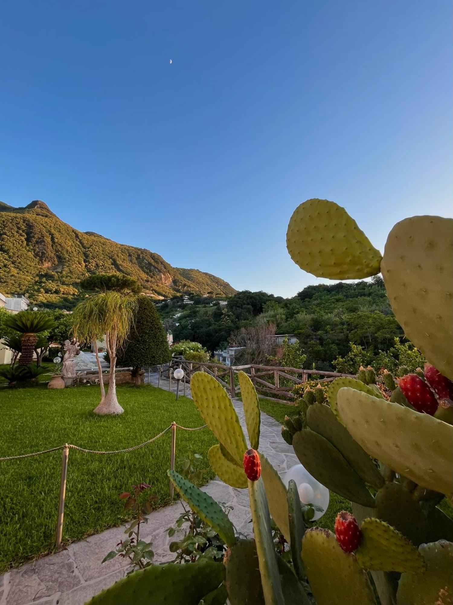Resort Villa Flavio Casamicciola Terme Екстериор снимка