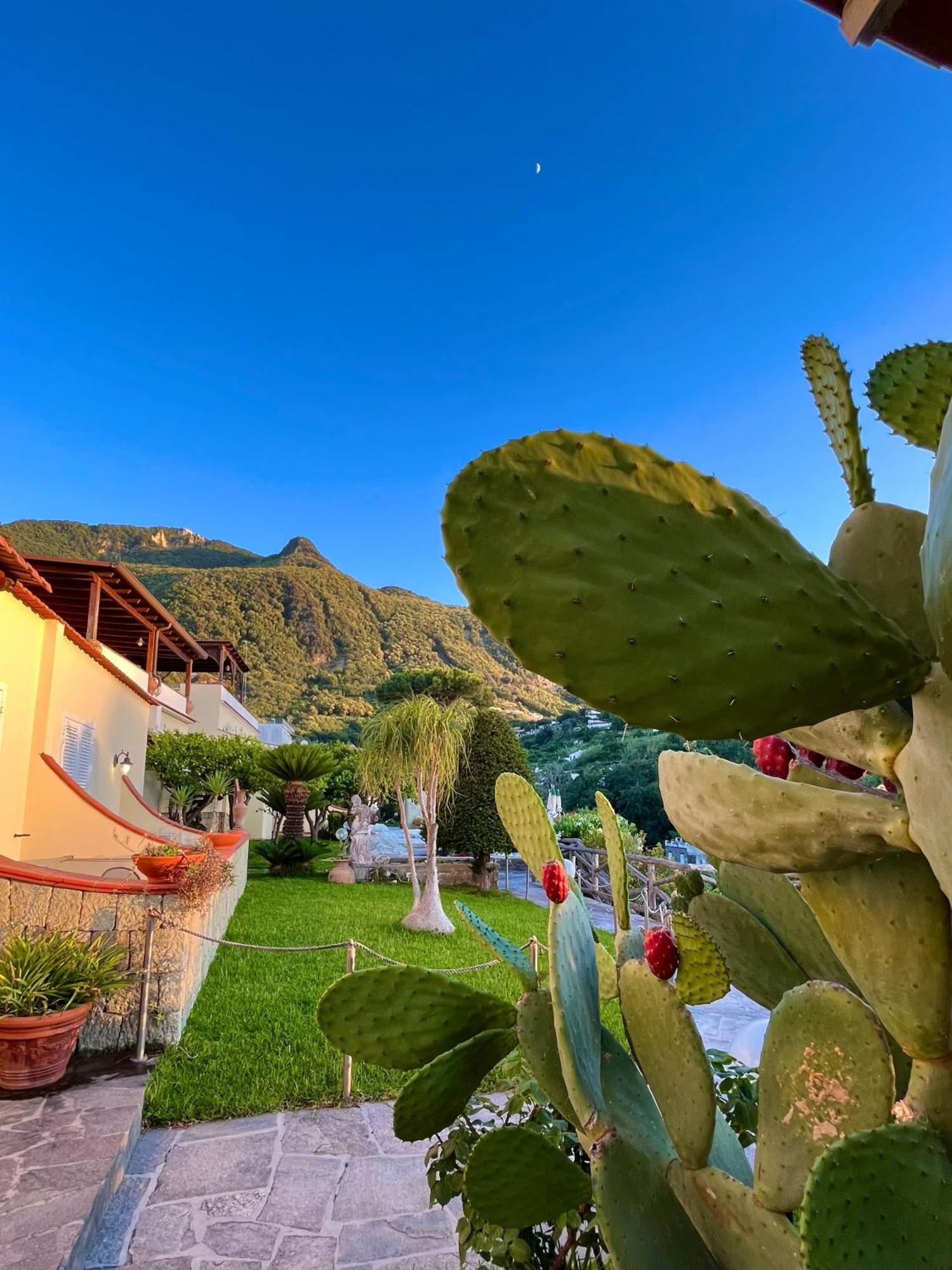 Resort Villa Flavio Casamicciola Terme Екстериор снимка